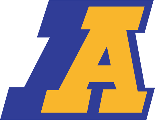Akron Zips 1986-2001 Primary Logo DIY iron on transfer (heat transfer)